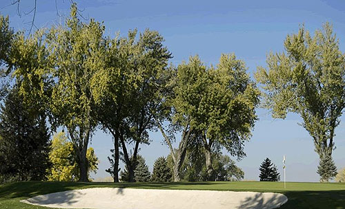 Ogden Golf & Country Club Thumbnail Image