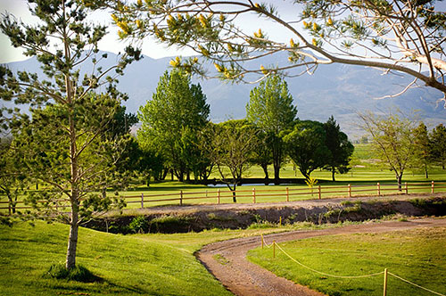 Cove View Golf Club Thumbnail Image